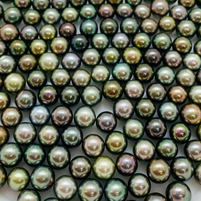 Perle De Tahiti - Perle Noire Naturelle Des Mers Du Sud, Neuve Avec étiquettes, Pour Création De Bijoux